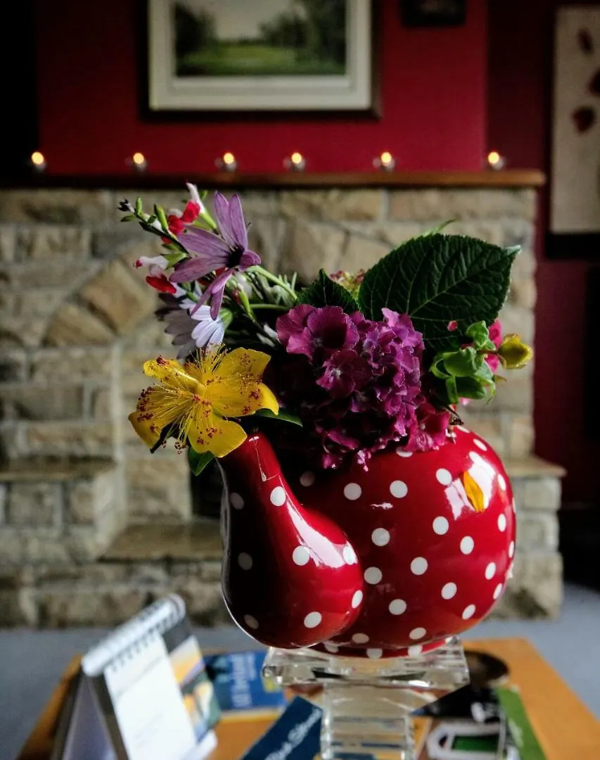 Abbey View Bed & Breakfast Galway 3*,  Ireland