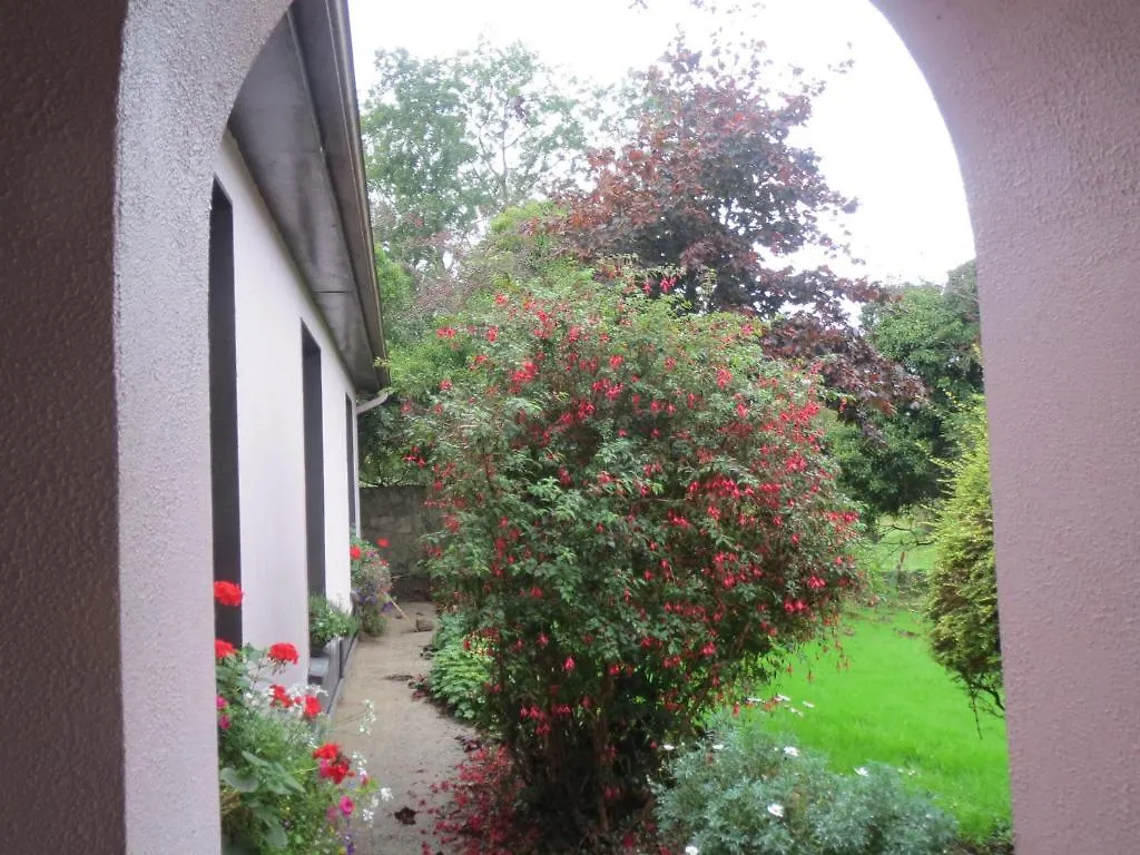 Abbey View Bed & Breakfast Galway