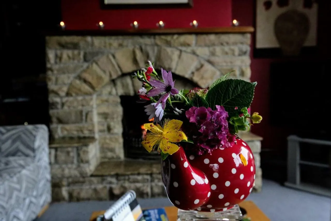 Abbey View Bed & Breakfast Galway 3*,