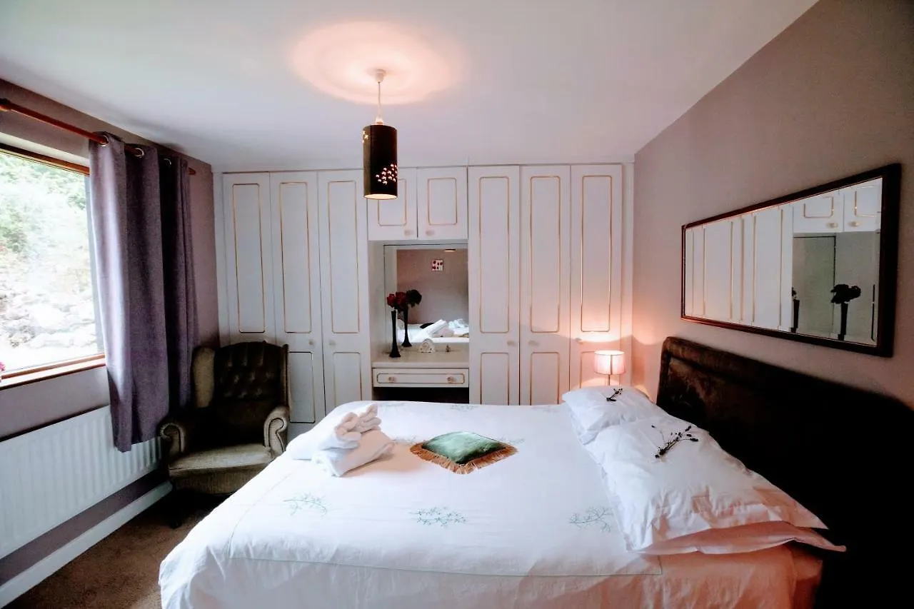 ***  Abbey View Bed & Breakfast Galway Ireland