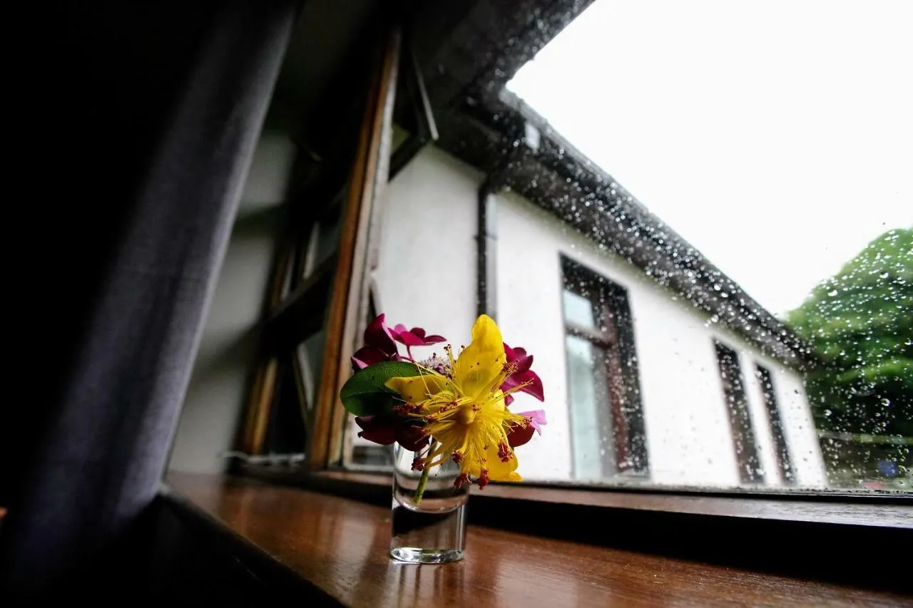 Abbey View Bed & Breakfast Galway