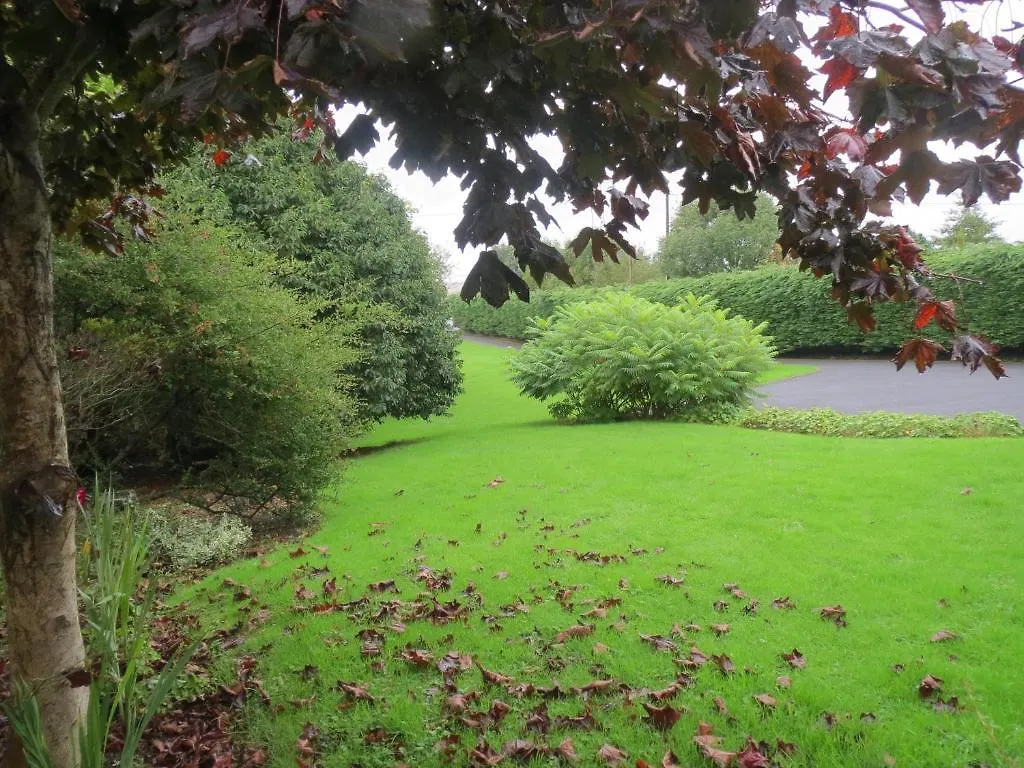 Abbey View Bed & Breakfast Galway