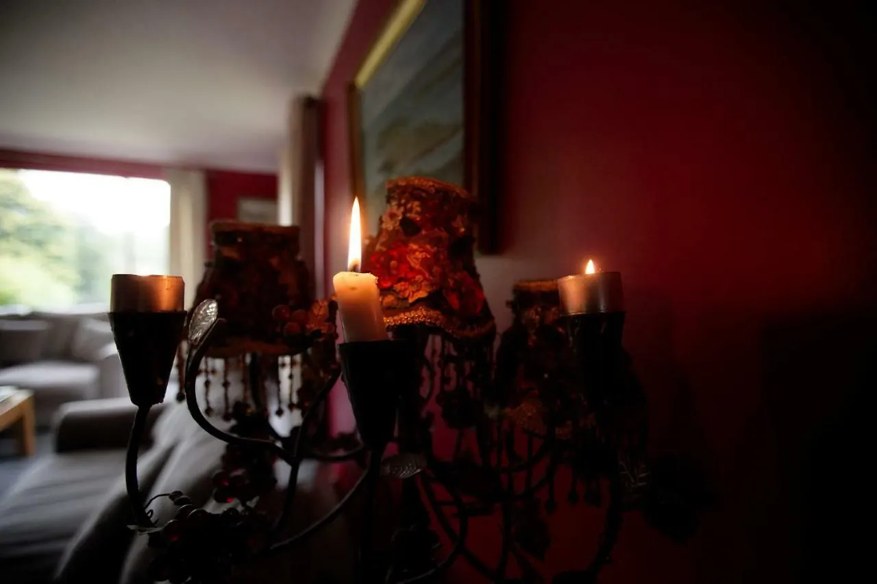 Abbey View Bed & Breakfast Galway